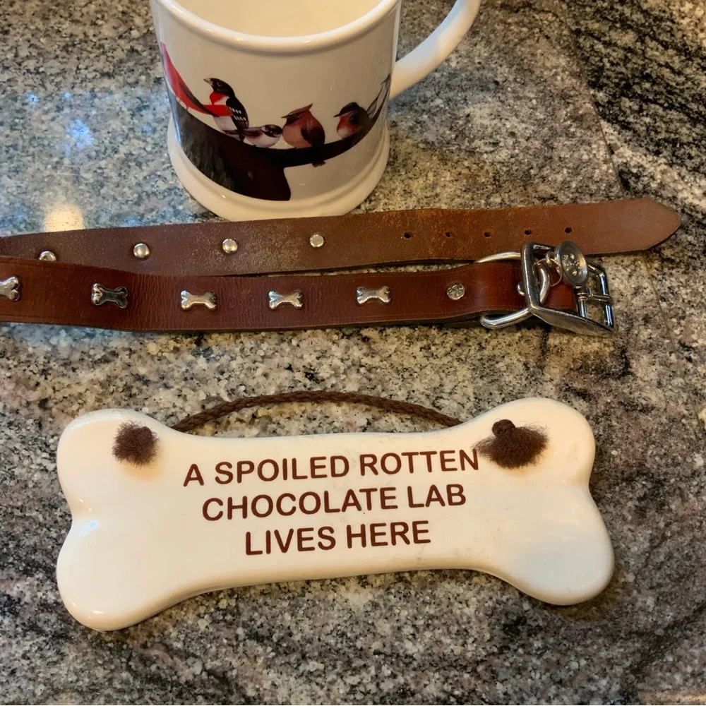 Chocolate Labrador Bundle Wendy Russell Mug, XL leather collar &home accent sign